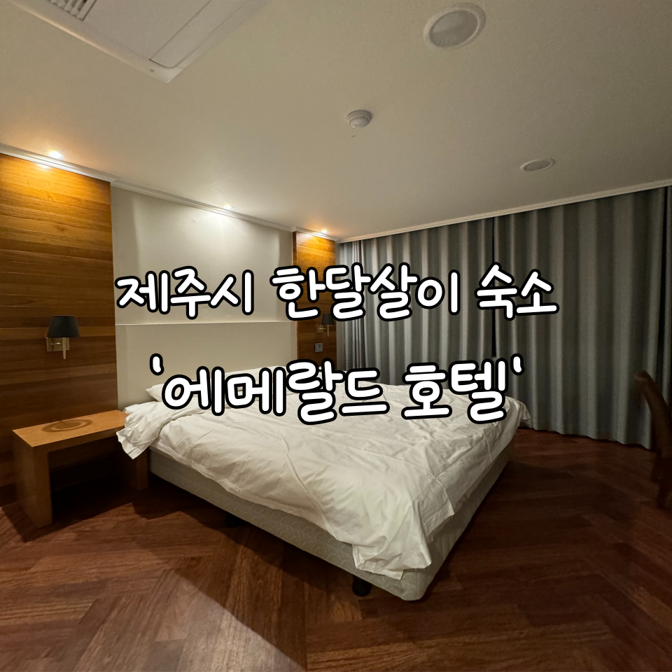 에메랄드케슬 (제주특별자치도 제주시) 사진