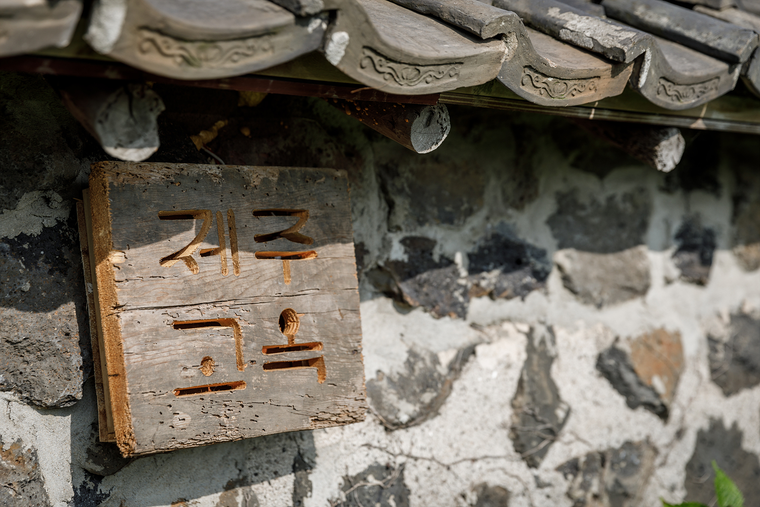 제주고옥 (제주특별자치도 제주시) 사진