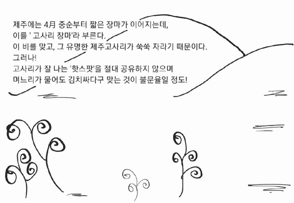 푸른별고사리 (제주특별자치도 제주시) 사진