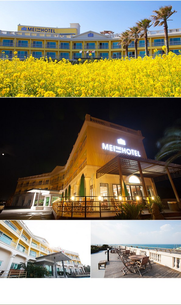 메이릴리 (제주특별자치도 제주시) 사진