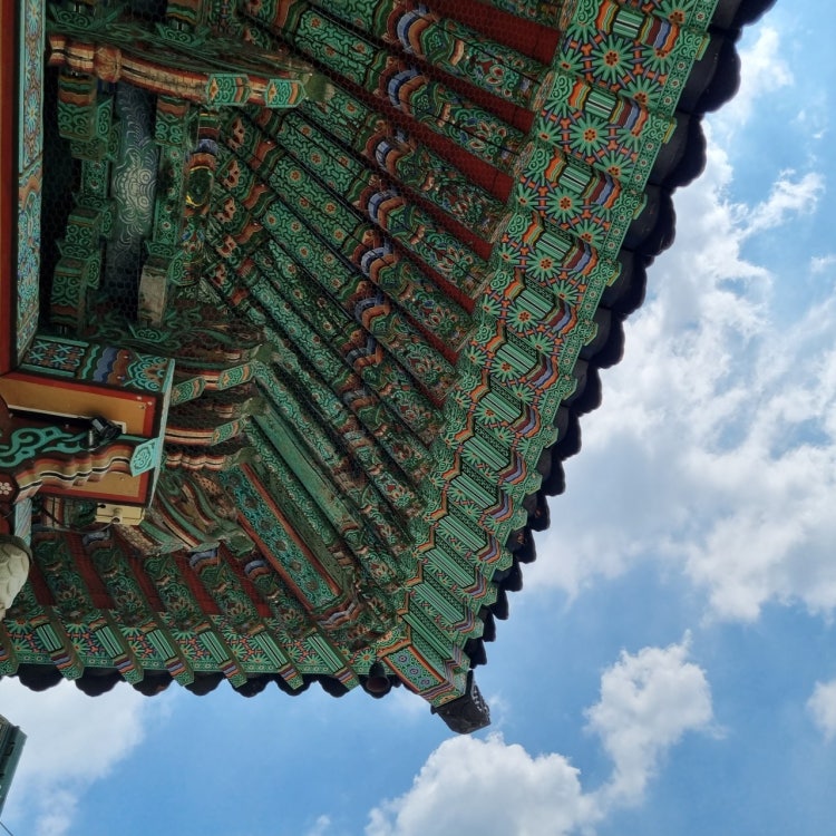 서심 (제주특별자치도 제주시) 사진