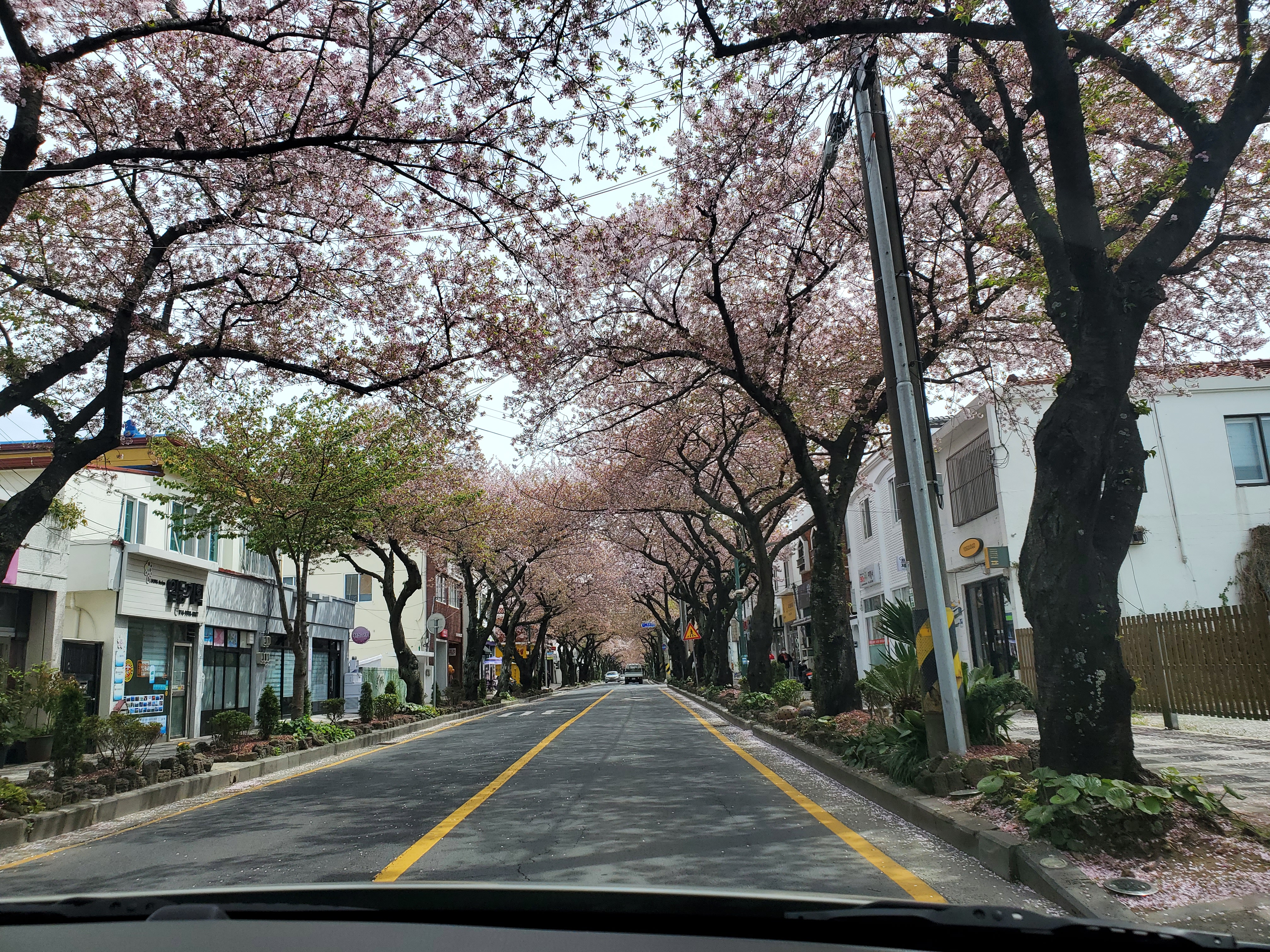 이푸른 애월