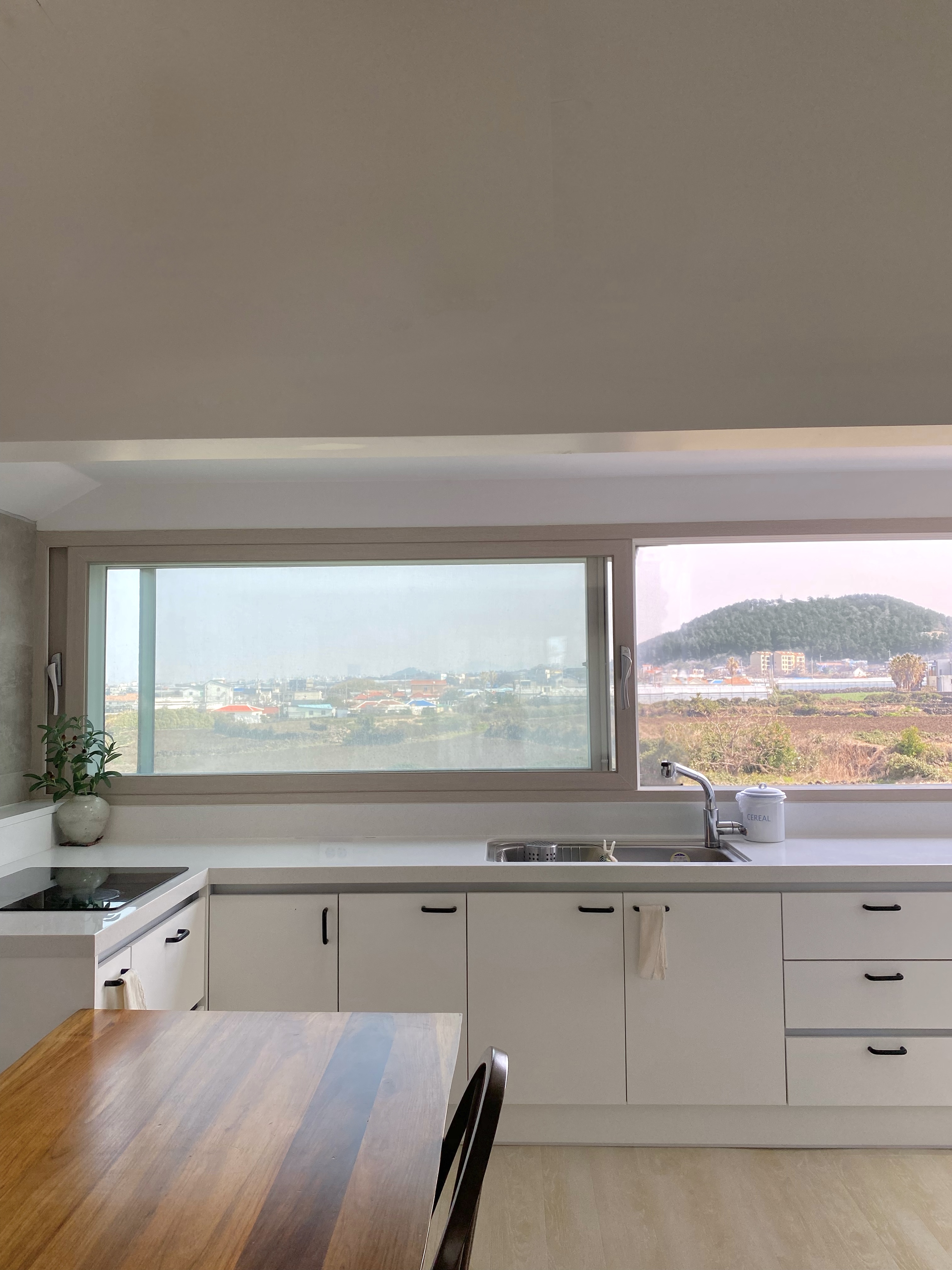 제주애월당귤 (제주특별자치도 제주시) 사진