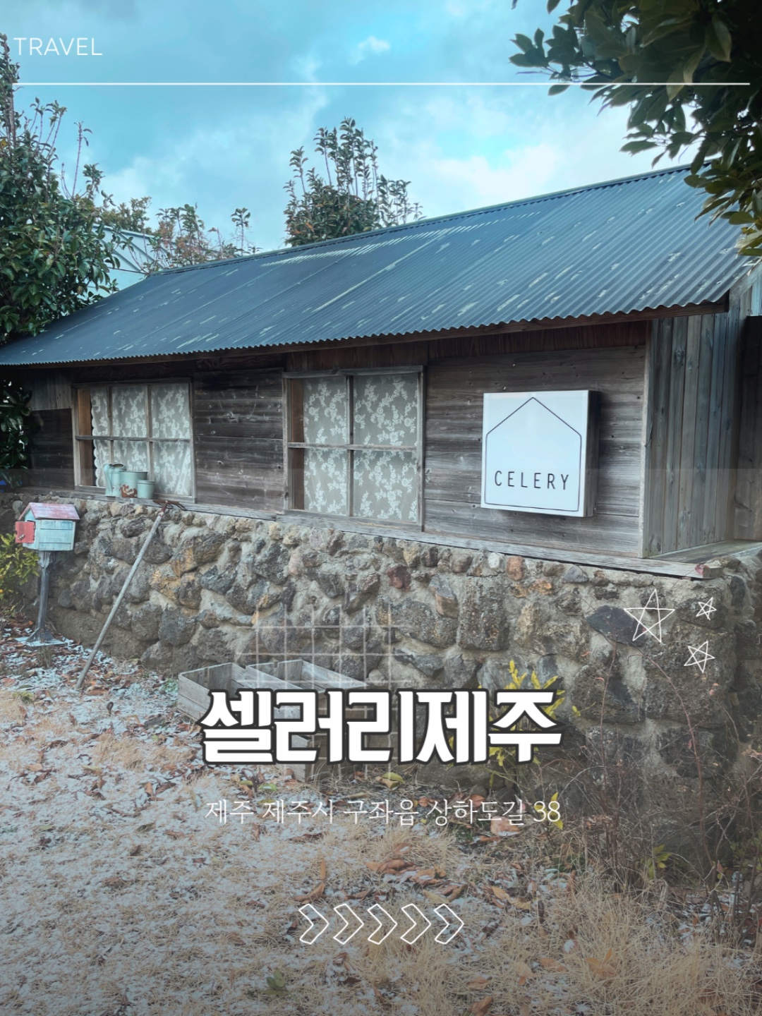 셀러리 (제주특별자치도 제주시) 사진