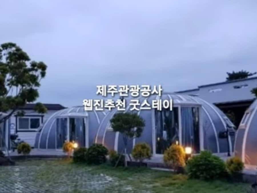 제주이글루 (제주특별자치도 제주시) 사진