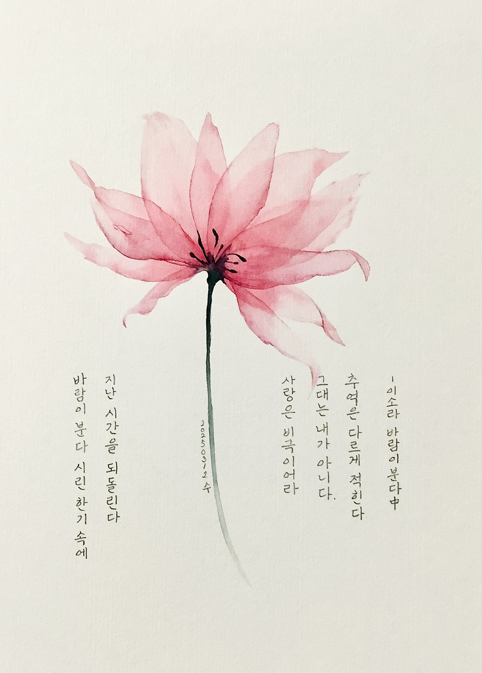바람이분다 (제주특별자치도 제주시) 사진