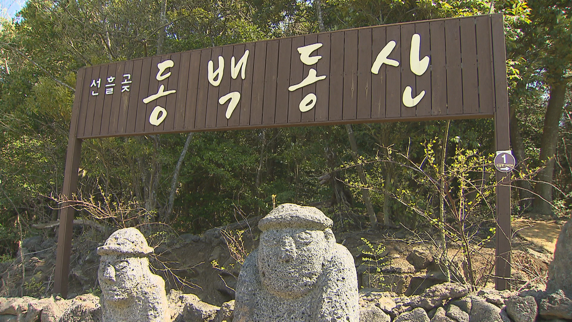 선흘 (제주특별자치도 제주시) 사진
