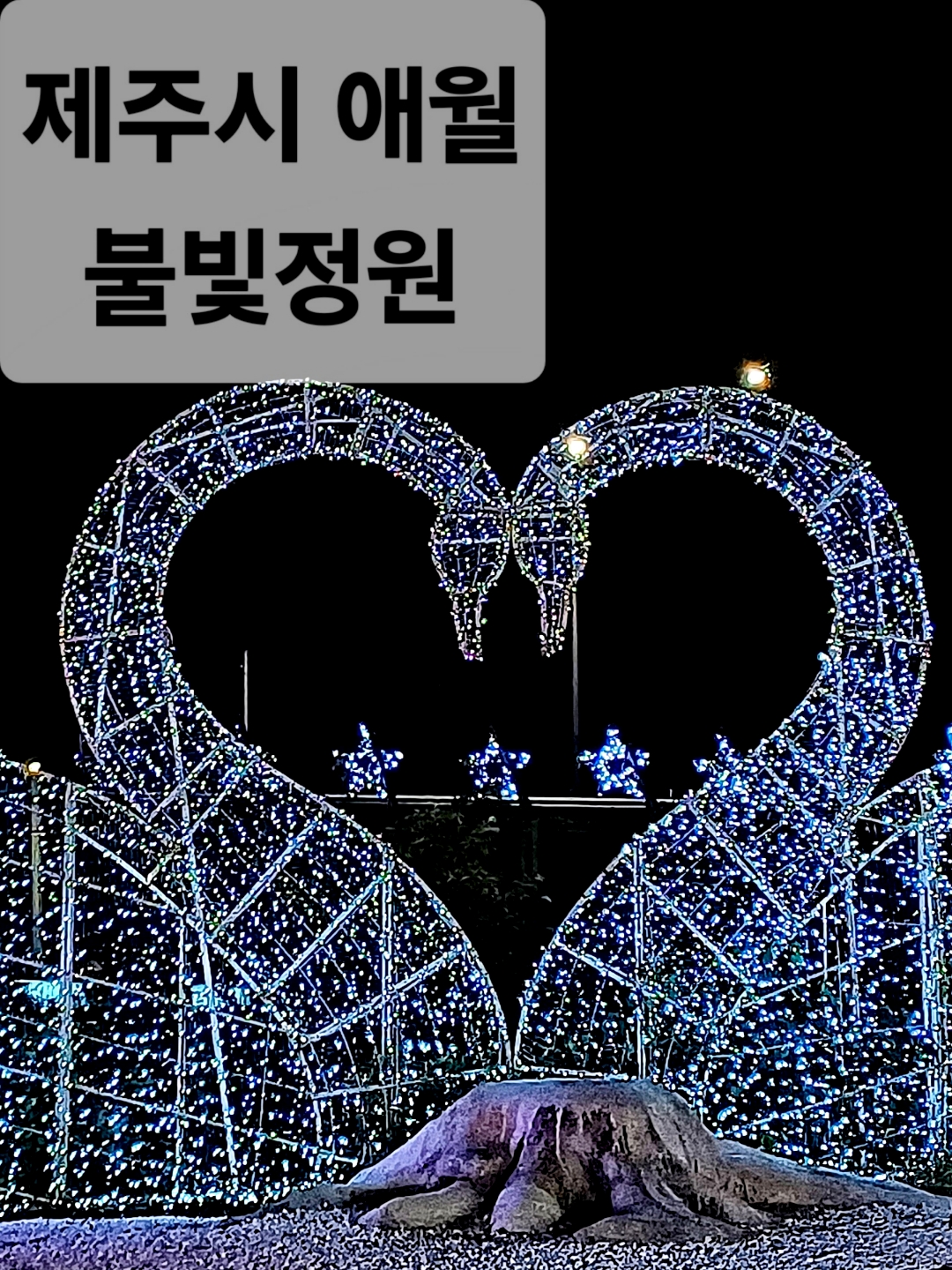 애월의정원