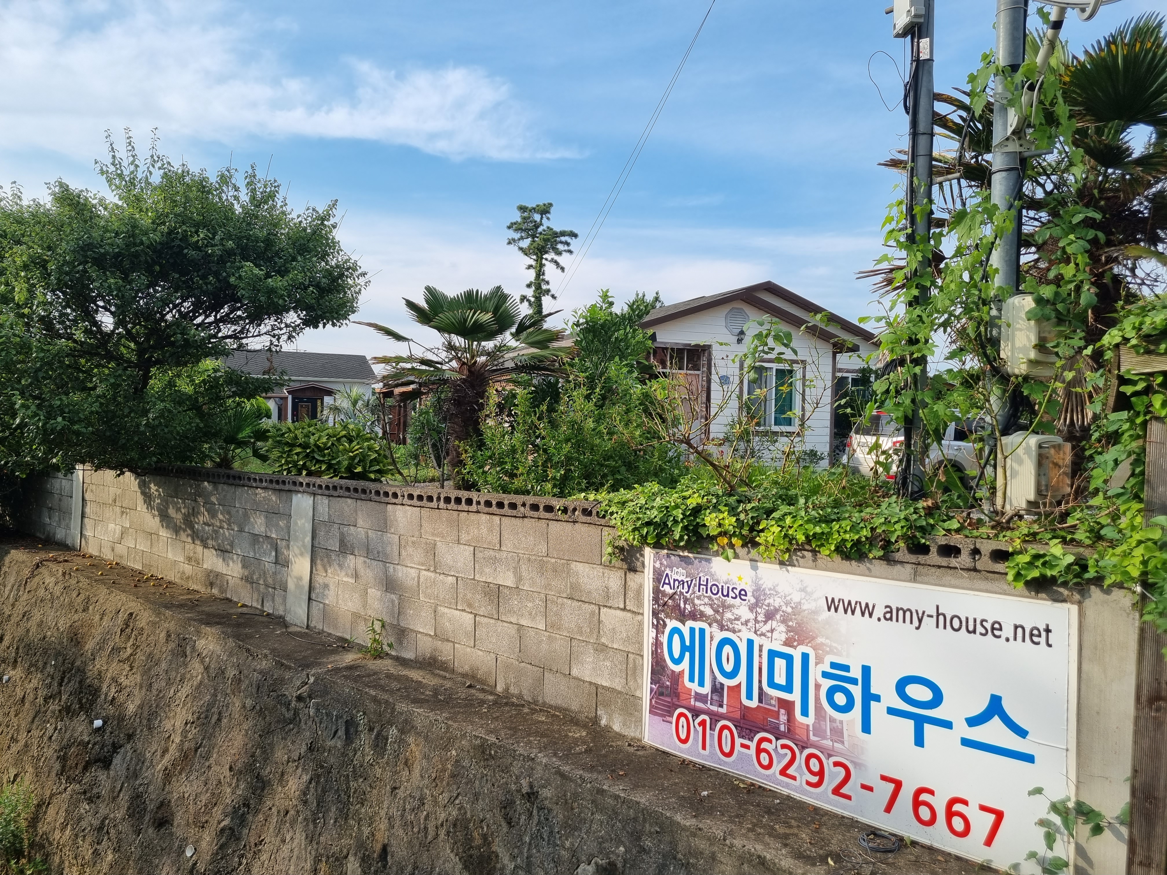 에이미하우스 (제주특별자치도 제주시) 사진