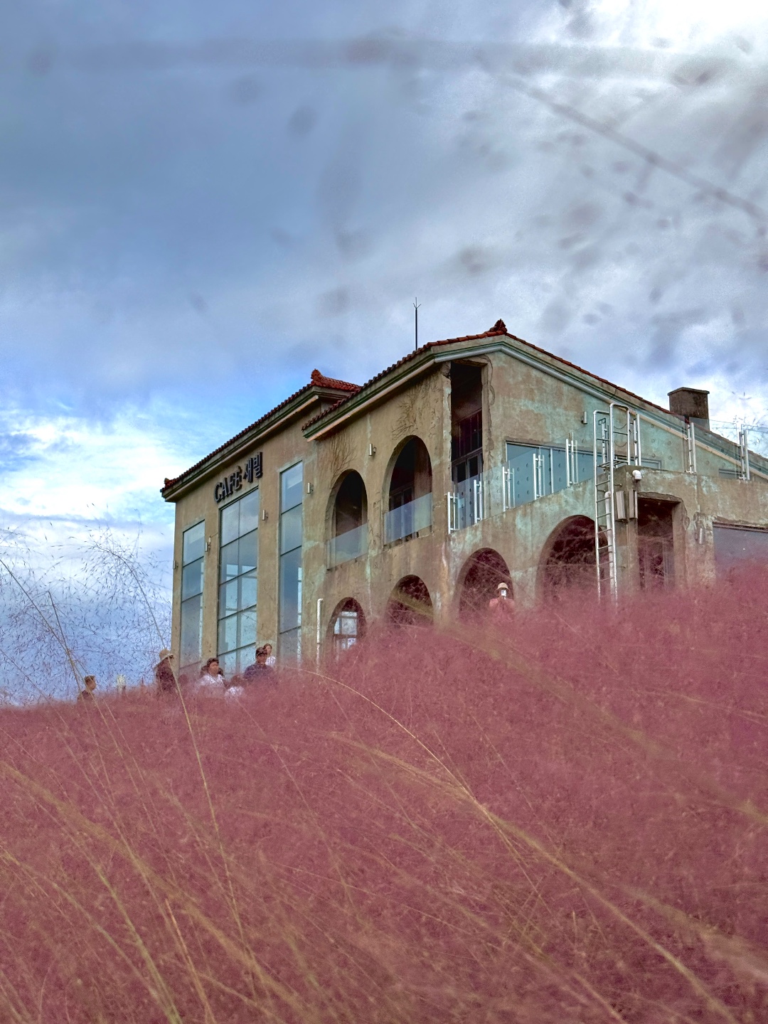 새애월 (제주특별자치도 제주시) 사진