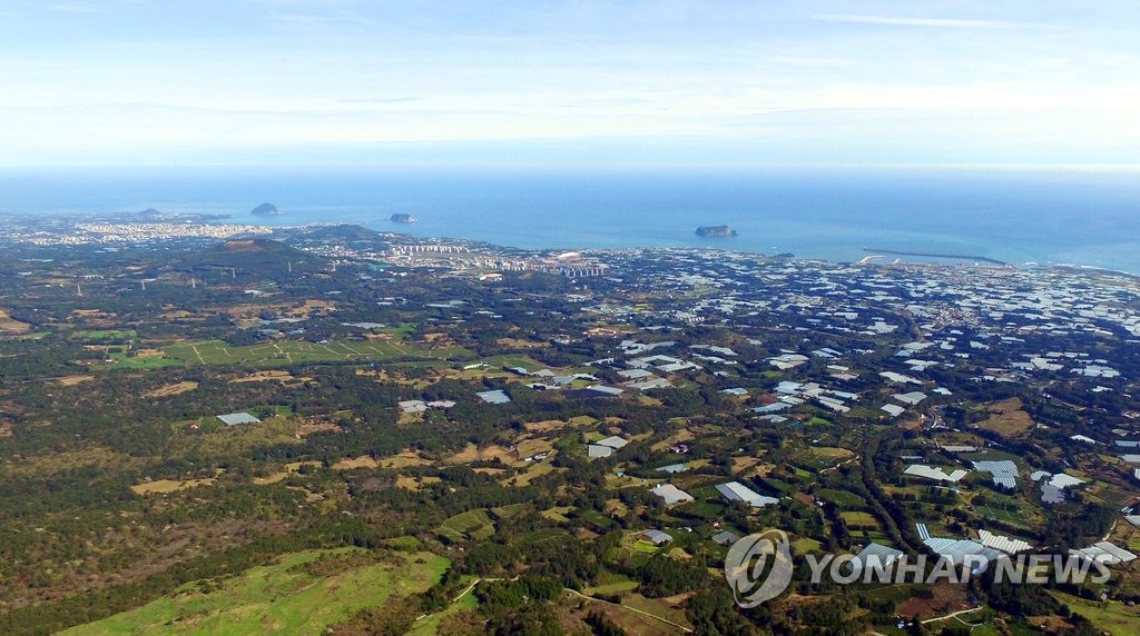 요나고래 (제주특별자치도 제주시) 사진