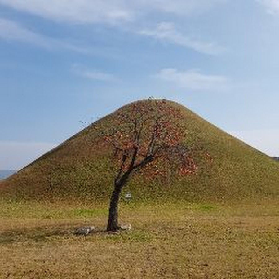 소소링제주 (제주특별자치도 제주시) 사진